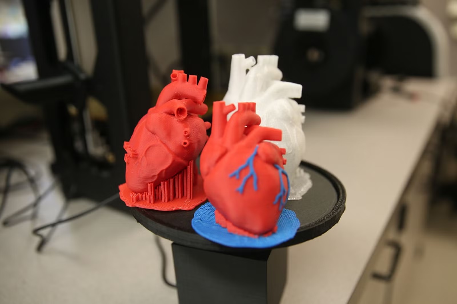 3D Printing-Medical Models